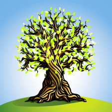 2306816_HiRes_renewal_tree